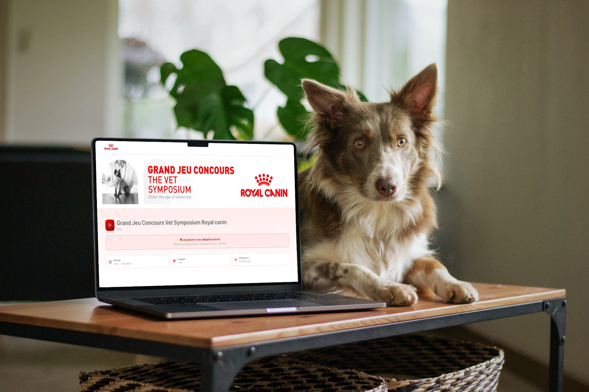 Mission Jeu Concours Royal Canin